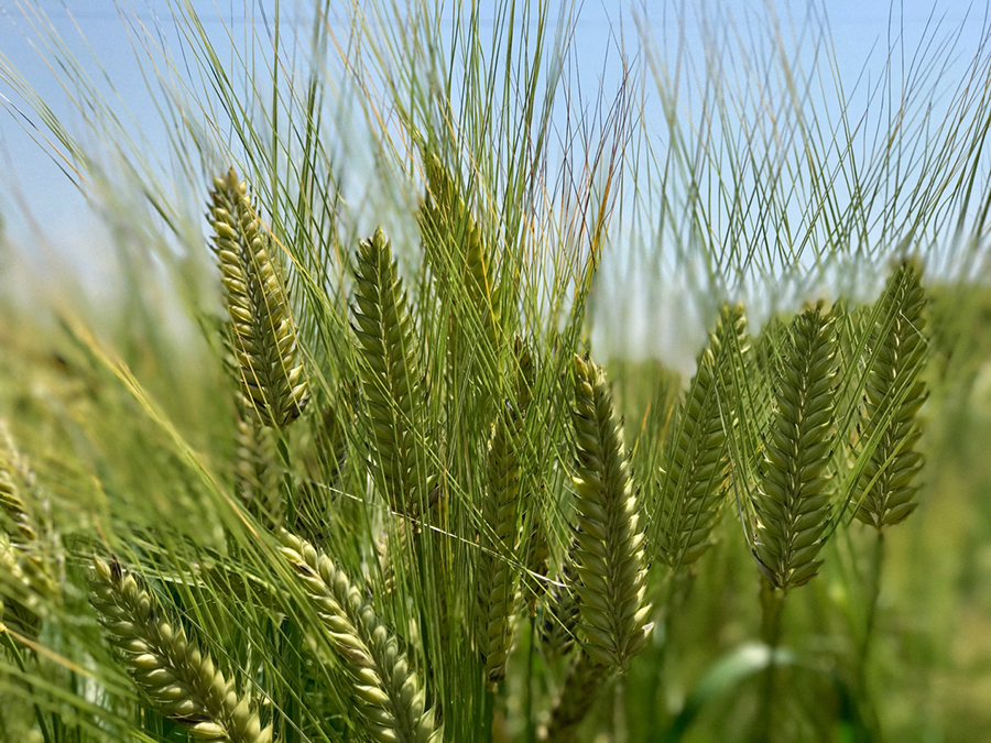 win����Ӯ(�й���½)Ψһ�ٷ���վ-Bwin�ٷ���Ȩ���