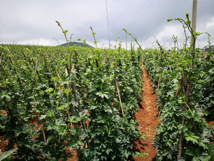 win����Ӯ(�й���½)Ψһ�ٷ���վ-Bwin�ٷ���Ȩ���