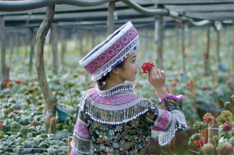 win����Ӯ(�й���½)Ψһ�ٷ���վ-Bwin�ٷ���Ȩ���