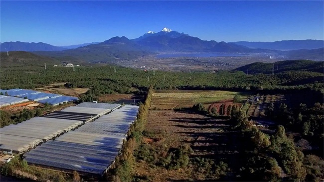 win����Ӯ(�й���½)Ψһ�ٷ���վ-Bwin�ٷ���Ȩ���