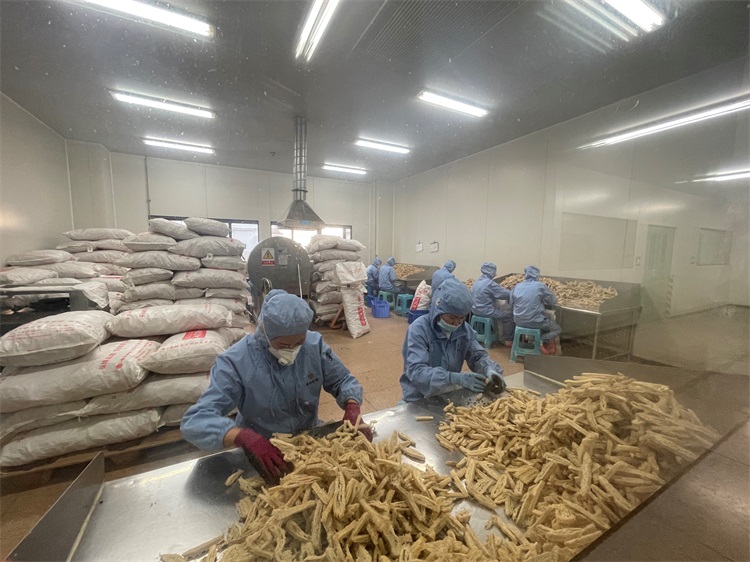 win����Ӯ(�й���½)Ψһ�ٷ���վ-Bwin�ٷ���Ȩ���