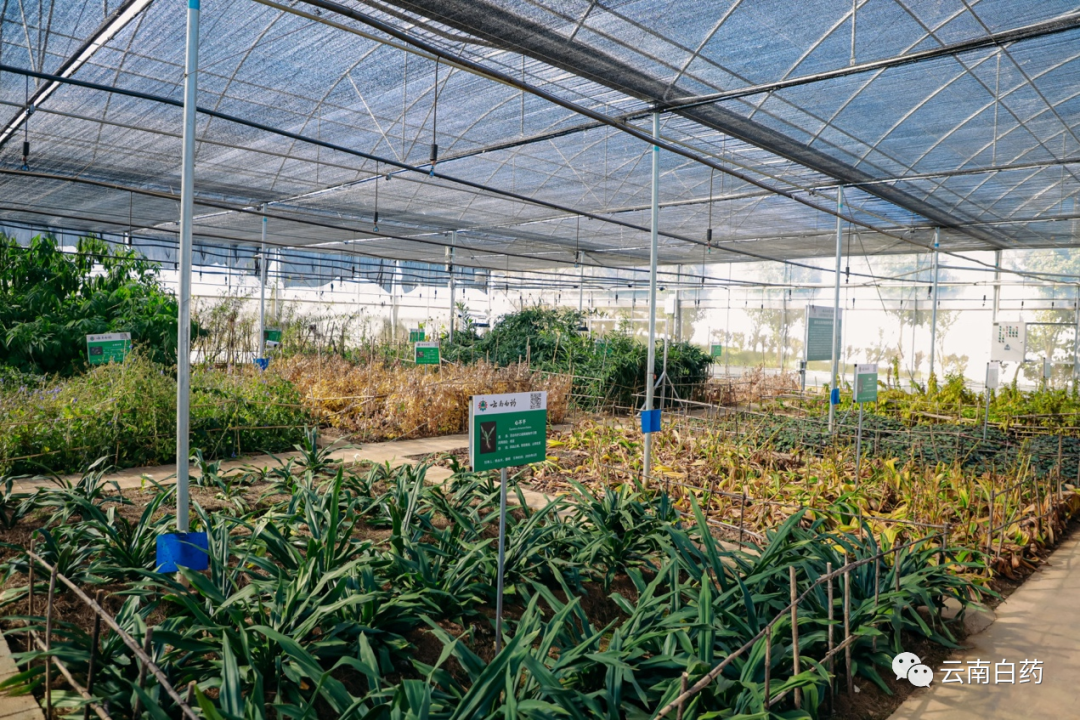 win����Ӯ(�й���½)Ψһ�ٷ���վ-Bwin�ٷ���Ȩ���