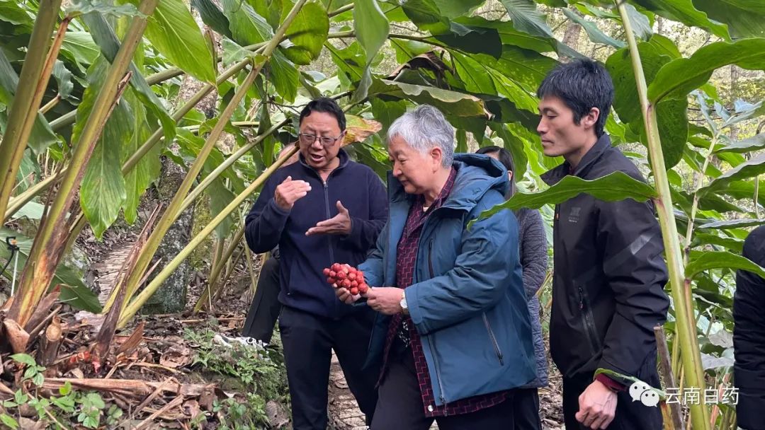 win����Ӯ(�й���½)Ψһ�ٷ���վ-Bwin�ٷ���Ȩ���