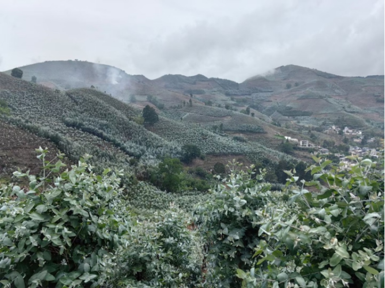 win����Ӯ(�й���½)Ψһ�ٷ���վ-Bwin�ٷ���Ȩ���