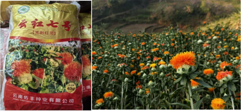 win����Ӯ(�й���½)Ψһ�ٷ���վ-Bwin�ٷ���Ȩ���