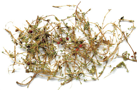 win����Ӯ(�й���½)Ψһ�ٷ���վ-Bwin�ٷ���Ȩ���