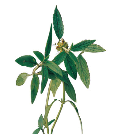 win¡¤±ØÓ®(Öйú´ó½)Ψһ¹Ù·½ÍøÕ¾-Bwin¹Ù·½ÊÚȨÈë¿Ú