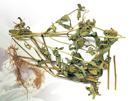 win¡¤±ØÓ®(Öйú´ó½)Ψһ¹Ù·½ÍøÕ¾-Bwin¹Ù·½ÊÚȨÈë¿Ú