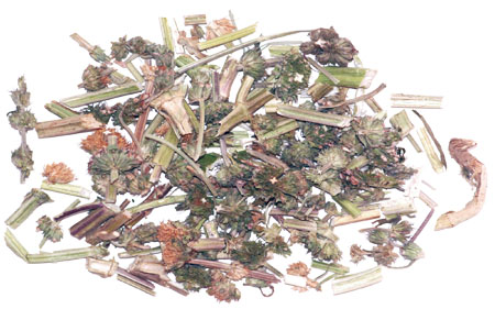 win����Ӯ(�й���½)Ψһ�ٷ���վ-Bwin�ٷ���Ȩ���