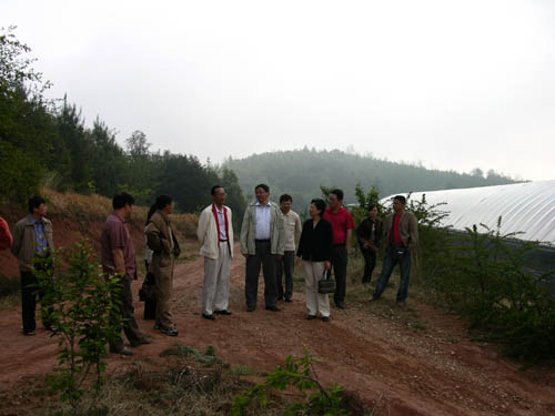 win����Ӯ(�й���½)Ψһ�ٷ���վ-Bwin�ٷ���Ȩ���