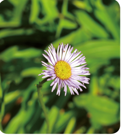 win����Ӯ(�й���½)Ψһ�ٷ���վ-Bwin�ٷ���Ȩ���