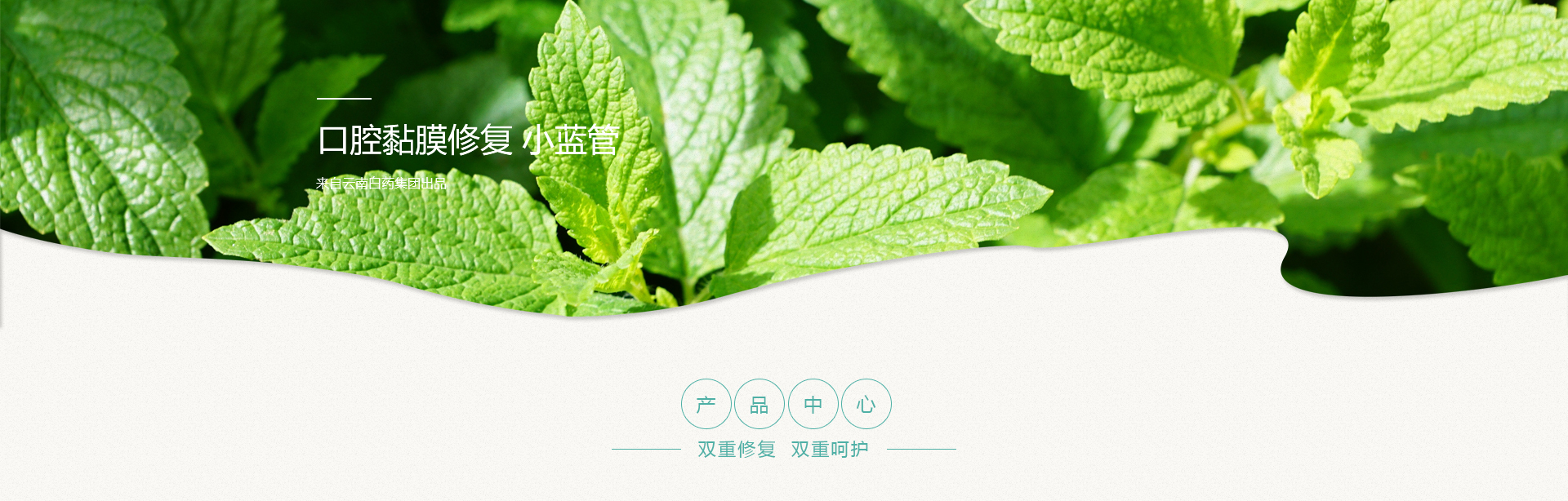 win����Ӯ(�й���½)Ψһ�ٷ���վ-Bwin�ٷ���Ȩ���